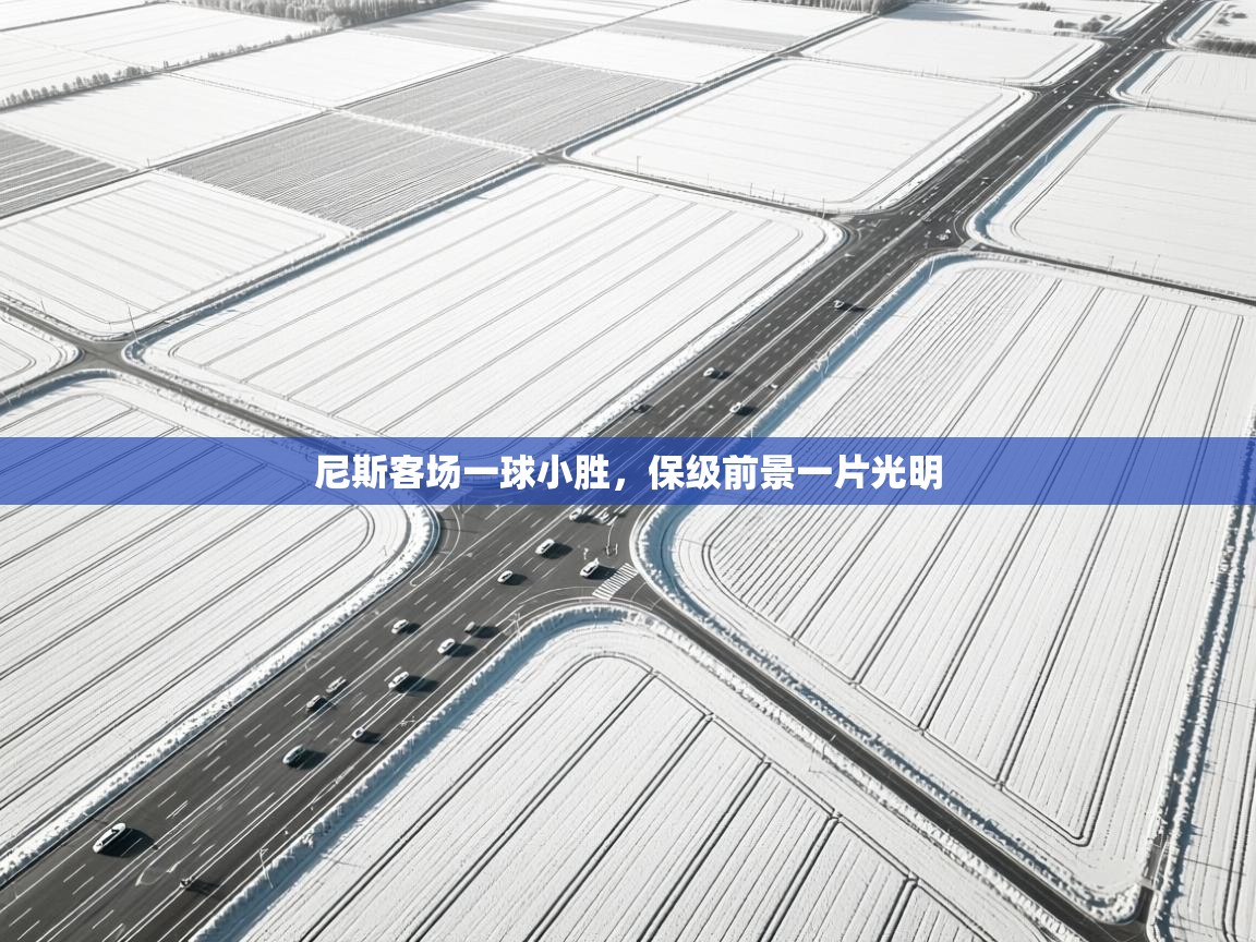 尼斯客场一球小胜，保级前景一片光明