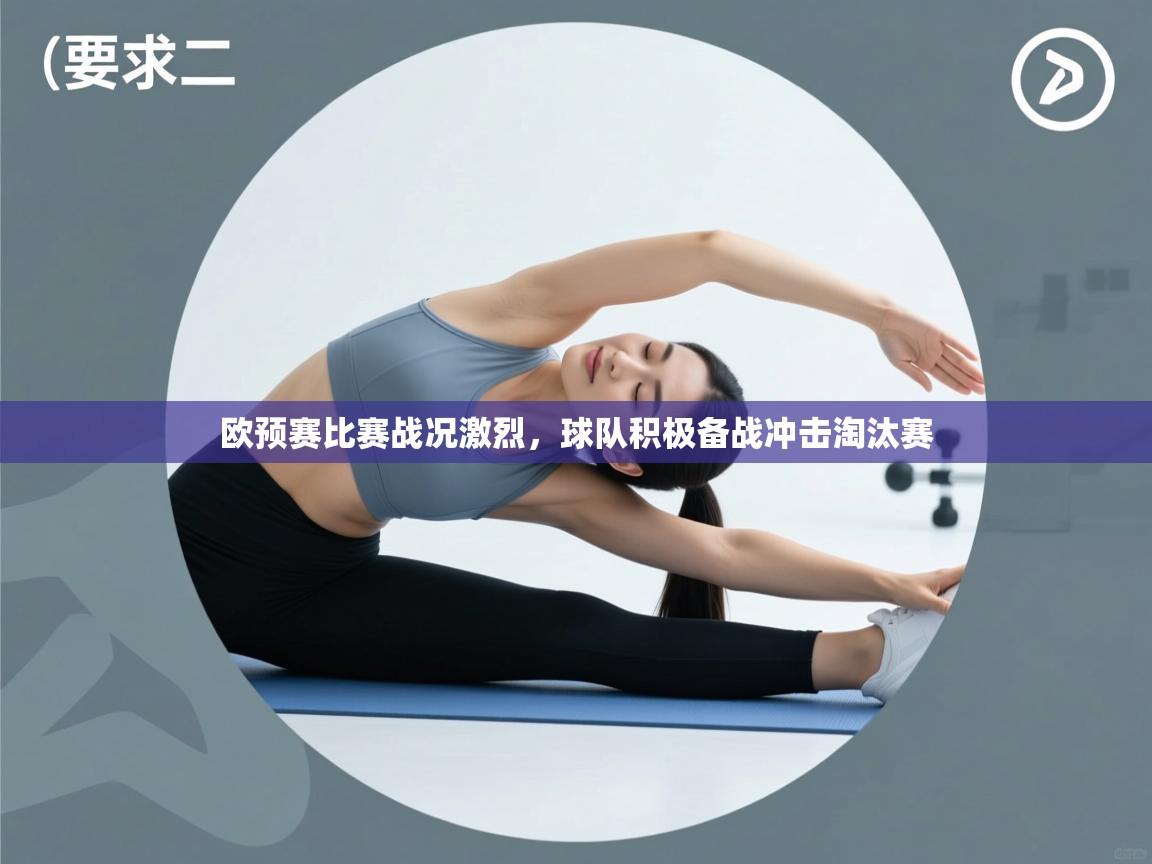 欧预赛比赛战况激烈，球队积极备战冲击淘汰赛  第2张